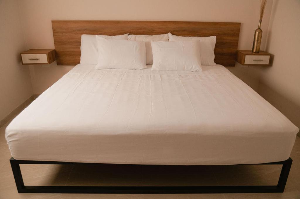 Hotel Fratelli アグアスカリエンテス エクステリア 写真