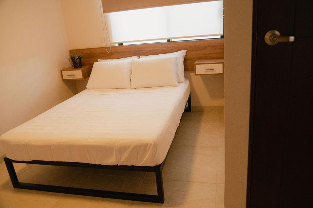 Hotel Fratelli アグアスカリエンテス エクステリア 写真